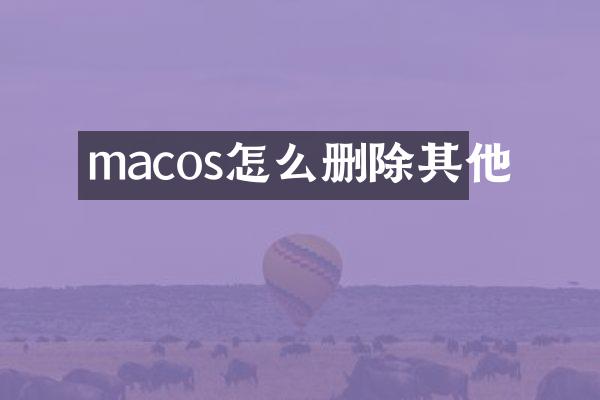 macos怎么删除其他