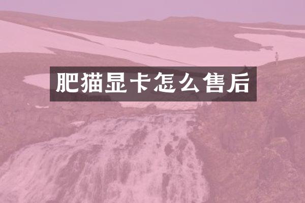 肥猫显卡怎么售后