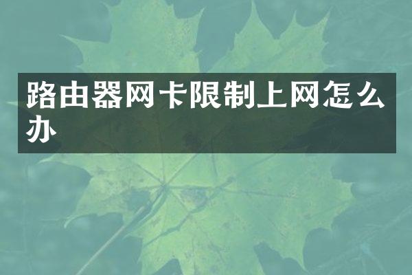 路由器网卡限制上网怎么办