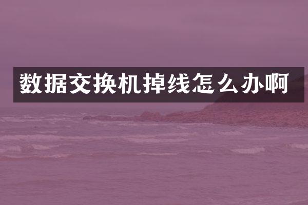 数据交换机掉线怎么办啊