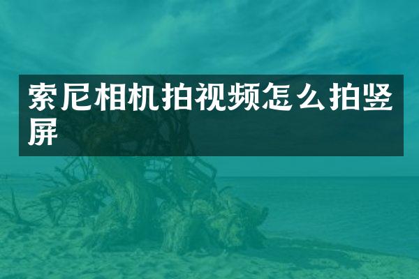 相机拍视频怎么拍竖屏