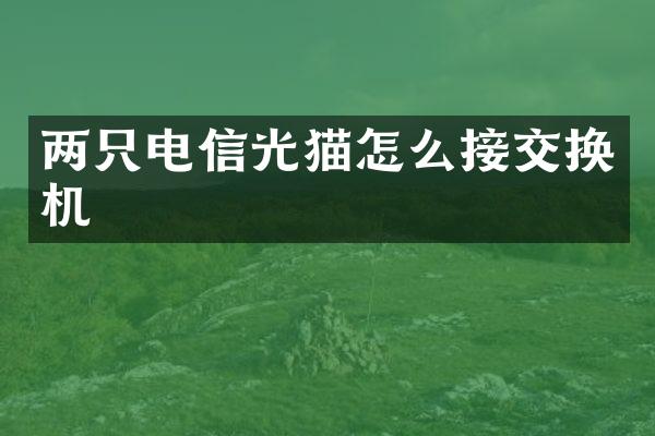 两只电信光猫怎么接交换机
