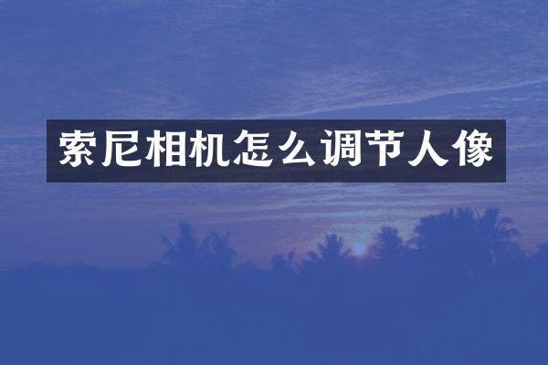 相机怎么调节人像