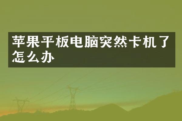 苹果平板电脑突然卡机了怎么办