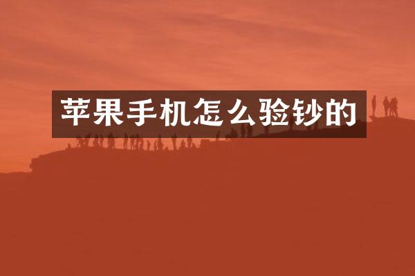 苹果手机怎么验钞的