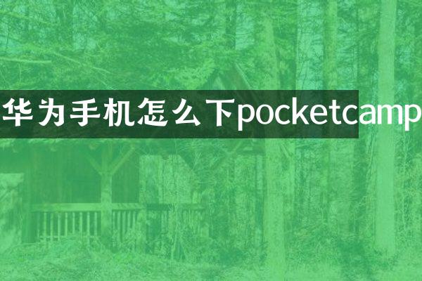 华为手机怎么下pocketcamp