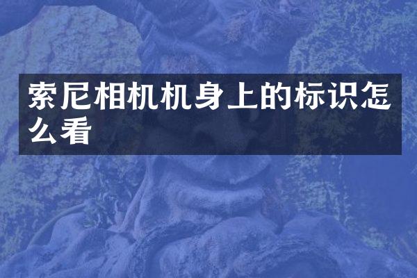 相机机身上的标识怎么看