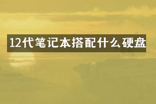 12代笔记本搭硬盘