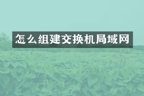 怎么组建交换机局域网