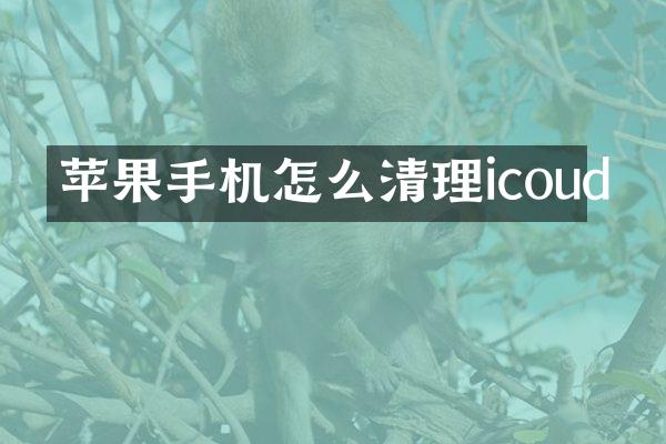 苹果手机怎么清理icoud