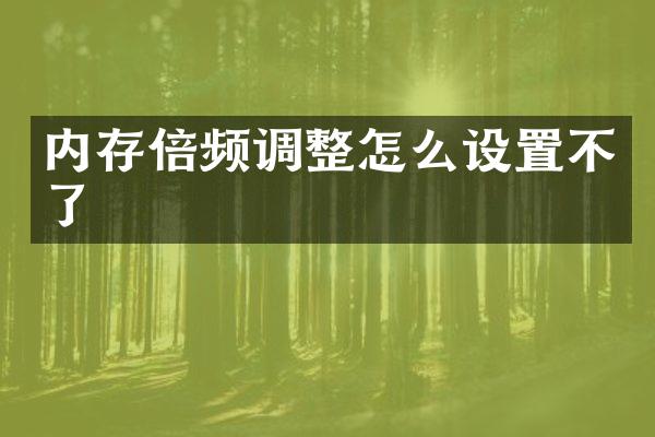 内存倍频调整怎么设置不了