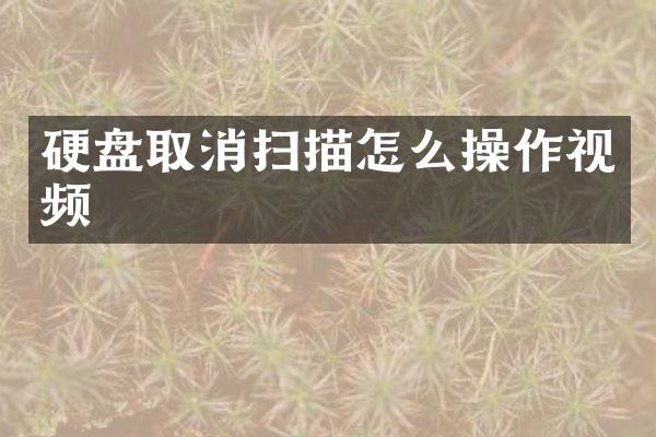 硬盘取消扫描怎么操作视频