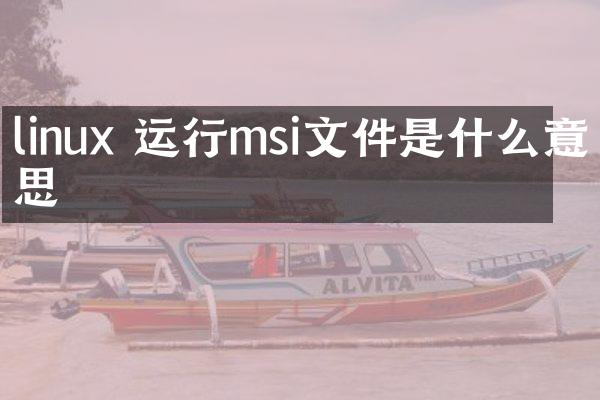 linux 运行msi文件是什么意思