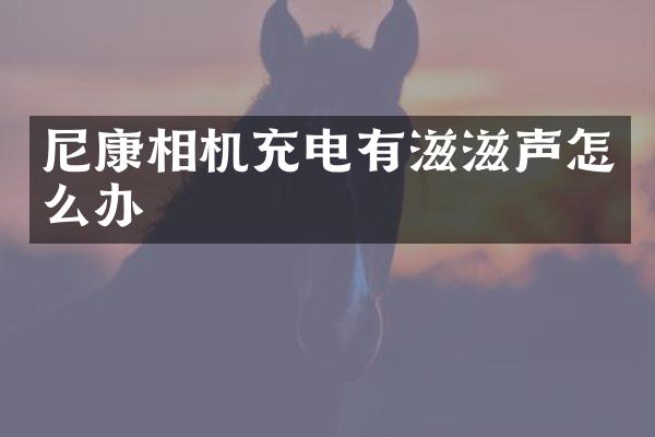 尼康相机充电有滋滋声怎么办