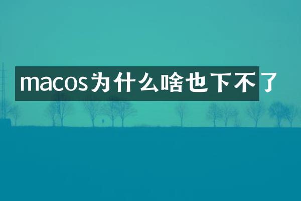 macos为什么啥也下不了