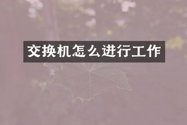 交换机怎么进行工作