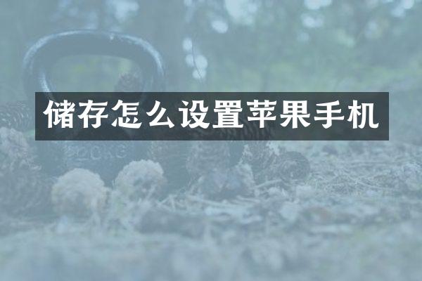 储存怎么设置苹果手机