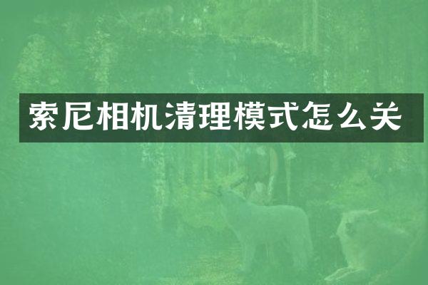 相机清理模式怎么关