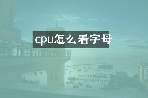 cpu怎么看字母