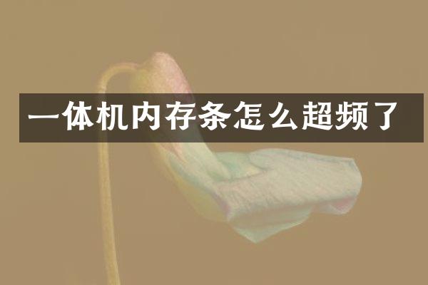 一体机内存条怎么超频了