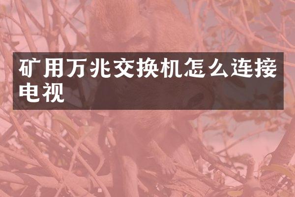 矿用万兆交换机怎么连接电视