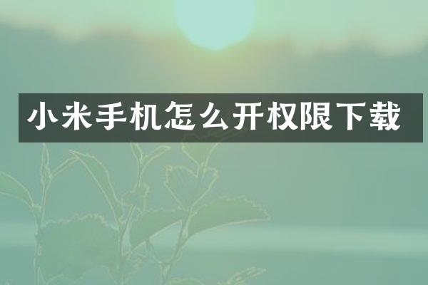 小米手机怎么开权限下载