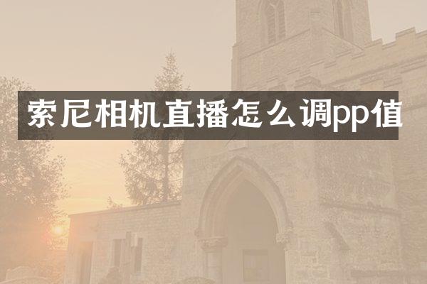 相机直播怎么调pp值