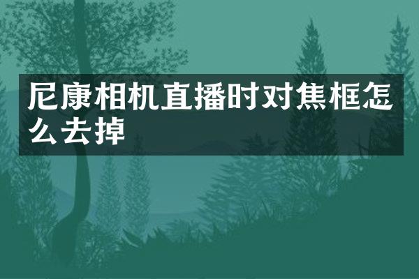 尼康相机直播时对焦框怎么去掉