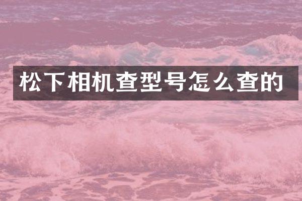 相机查型号怎么查的