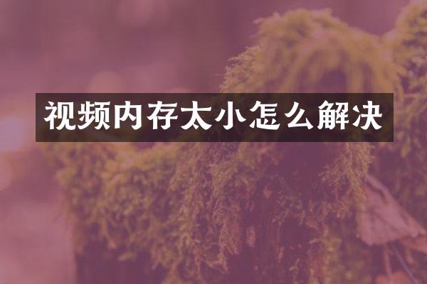 视频内存太小怎么解决