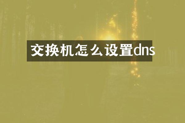 交换机怎么设置dns