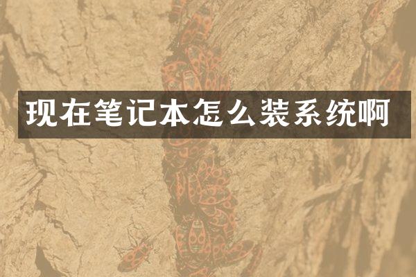 现在笔记本怎么装系统啊