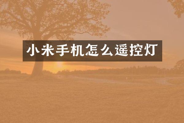 小米手机怎么遥控灯