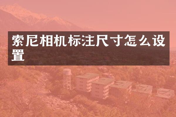 相机标注尺寸怎么设置