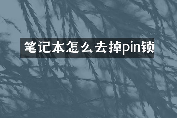 笔记本怎么去掉pin锁