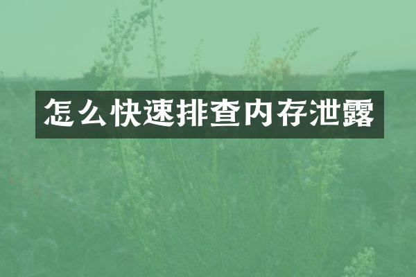 怎么快速排查内存泄露