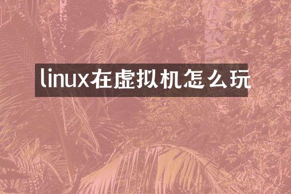 linux在虚拟机怎么玩