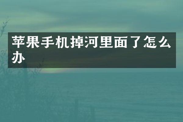苹果手机掉河里面了怎么办