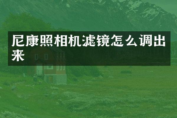 尼康照相机滤镜怎么调出来