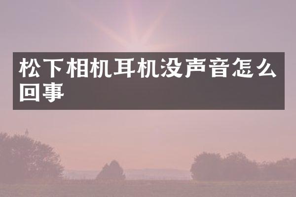 相机耳机没声音怎么回事