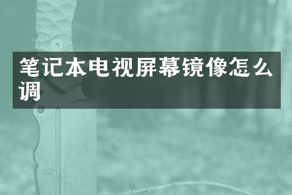 笔记本电视屏幕镜像怎么调