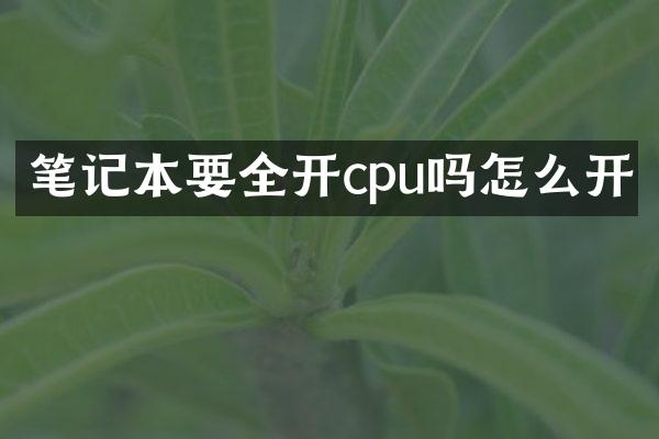 笔记本要全开cpu吗怎么开