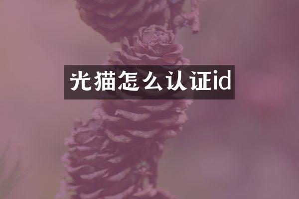 光猫怎么认证id