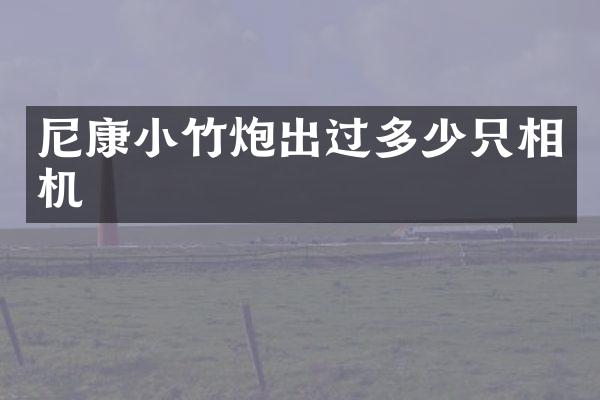 尼康小竹炮出过多少只相机