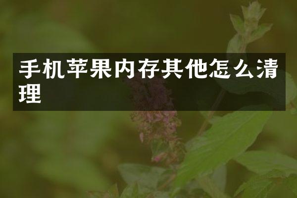 手机苹果内存其他怎么清理