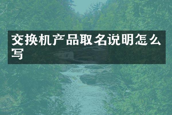 交换机产品取名说明怎么写