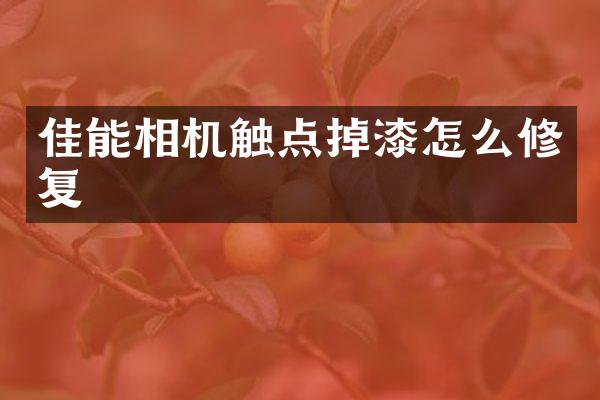 佳能相机触点掉漆怎么修复