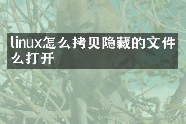 linux怎么拷贝隐藏的文件怎么打开