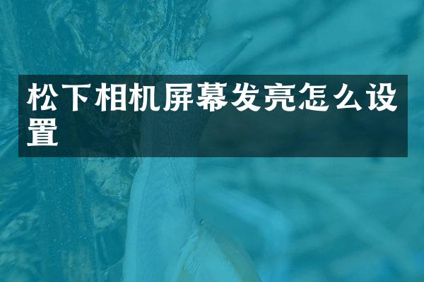 相机屏幕发亮怎么设置