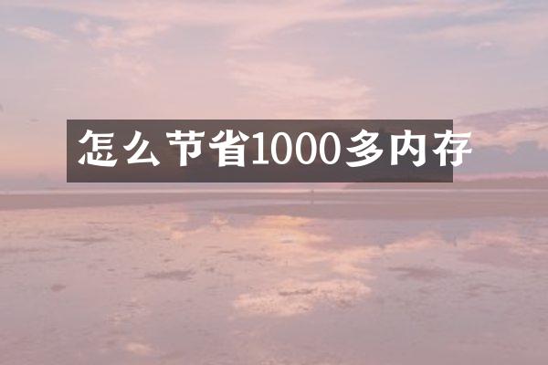 怎么节省1000多内存